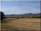 ager06.jpg