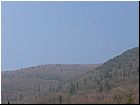bassano_unor2009_28.jpg