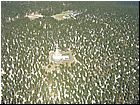 cerna16.jpg