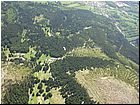 cerna18.jpg