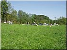 cerna43.jpg