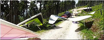 cerna24060501.jpg