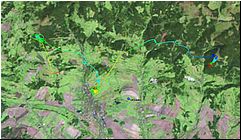 cerna24060502.jpg