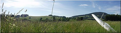 cerna24060503.jpg