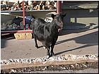 dolomity010.jpg