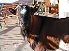 dolomity011.jpg