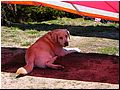 mcr2008cechy033.jpg