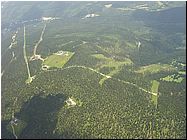 cerna_4_7_09.jpg