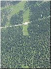 cerna_4_7_11.jpg