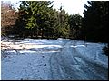 PICT0089.JPG