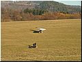 PICT0248.JPG