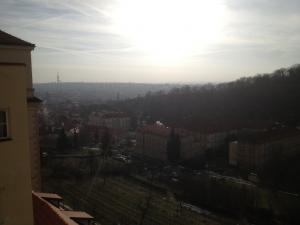 Tohle sem jako přílohu mrsknul T2C Piškot