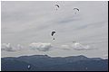 IMG_1540.jpg