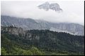 IMG_1545.jpg