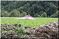 IMG_1548.jpg