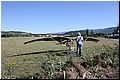 IMG_1609.jpg