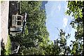 IMG_1626.jpg