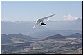 IMG_1736.jpg