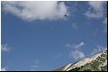 IMG_1766.jpg