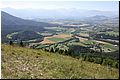 IMG_1771.jpg