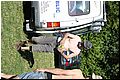 IMG_1788.jpg