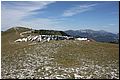 IMG_1846.jpg