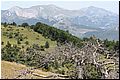 IMG_1860.jpg