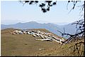 IMG_1862.jpg
