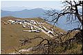 IMG_1864.jpg