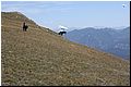 IMG_1903.jpg