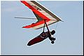 IMG_1918.jpg