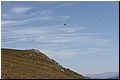IMG_1922.jpg