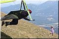 IMG_1936.jpg