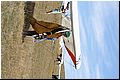 IMG_1942.jpg