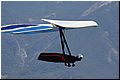 IMG_1961.jpg