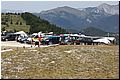 IMG_1981.jpg