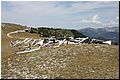 IMG_1982.jpg