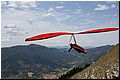IMG_2043.jpg