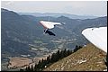 IMG_2064.jpg