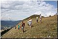 IMG_2103.jpg