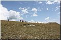 IMG_2111.jpg
