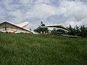 Slunce bliklo a Fialka u� startuje